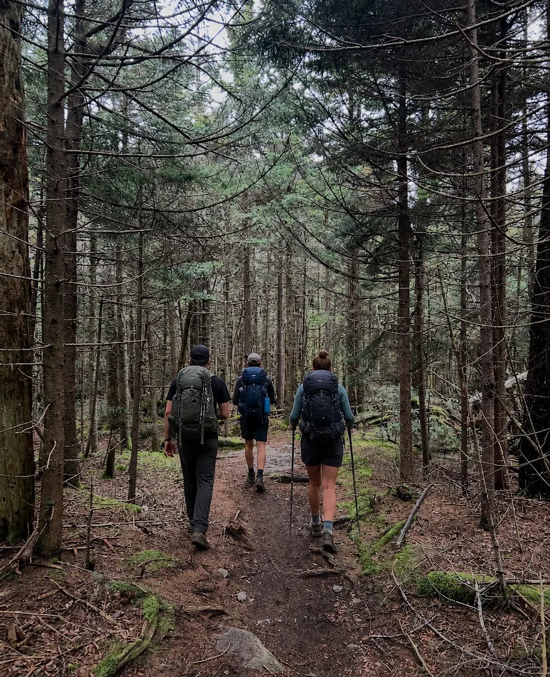 Team hiking Devil's Path, Catskill Mountains