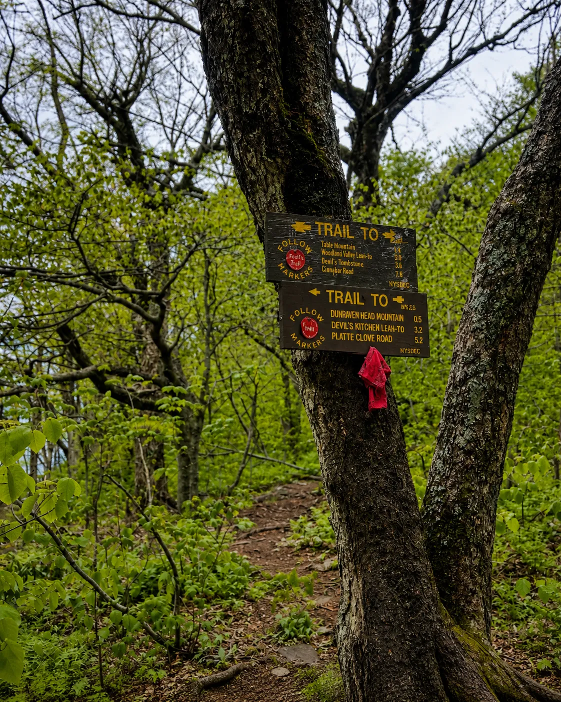 Devil's Path trail sign, Catskill Mountains